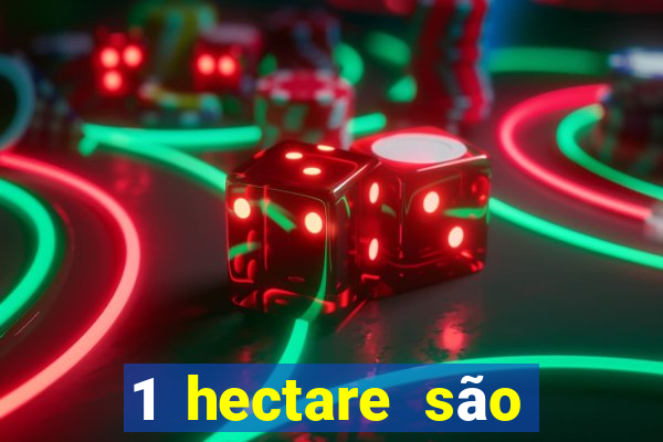 1 hectare são quantas tarefas na bahia